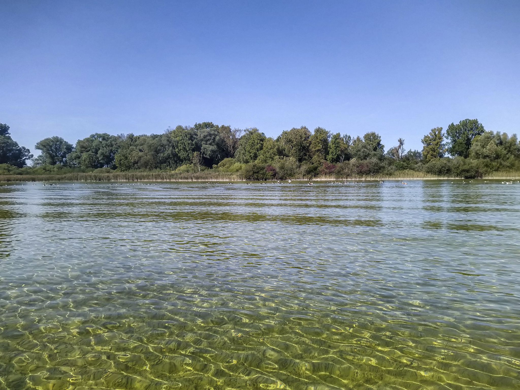 Kajaktour Ammersee Stegen 25.09.2021